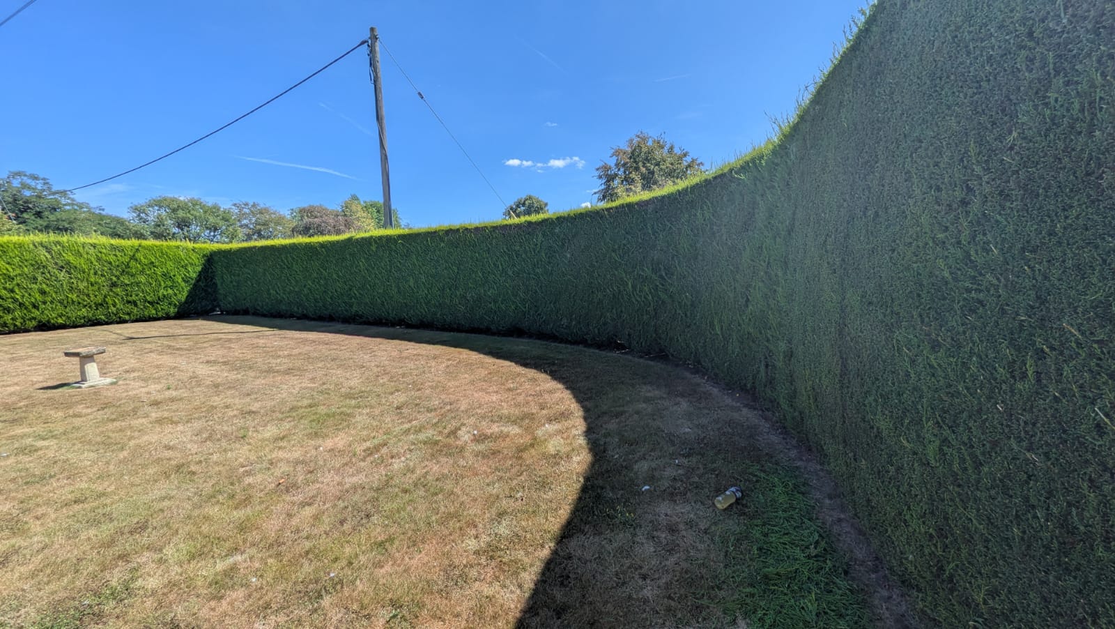 Long garden hedge with a neatly trimmed top and sides